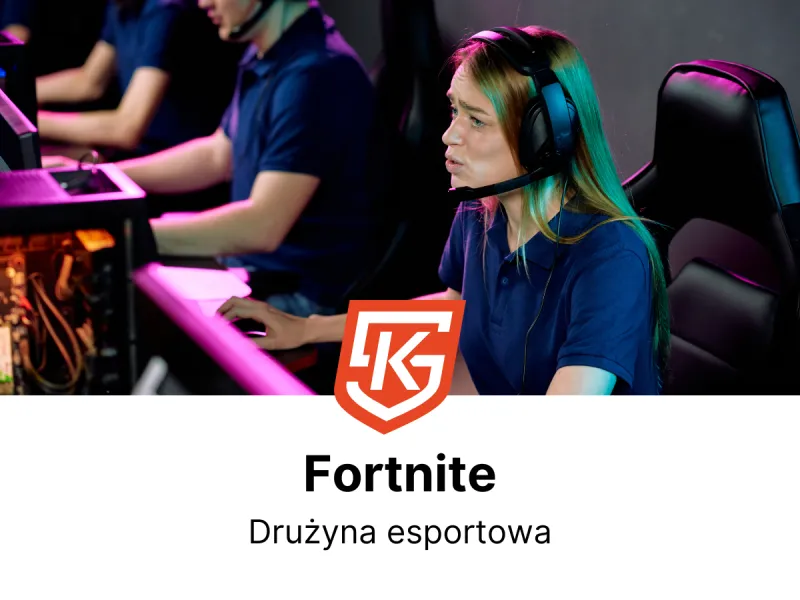 Polskie drużyny esportowe Fortnite