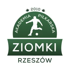 Logo - Akademia Piłkarska Ziomki