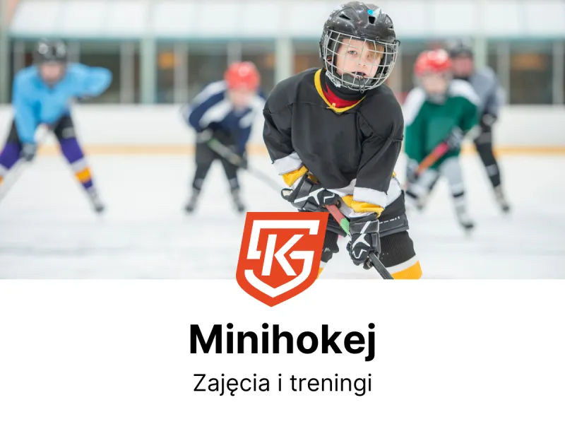 Minihokej dla dzieci i dorosłych - treningi i zajęcia