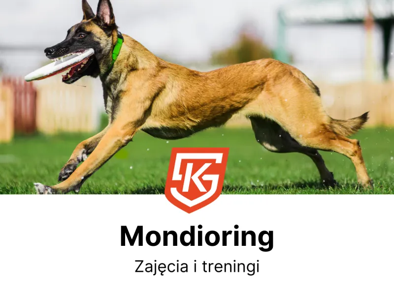 Mondioring dla młodzieży i dorosłych - treningi i zajęcia