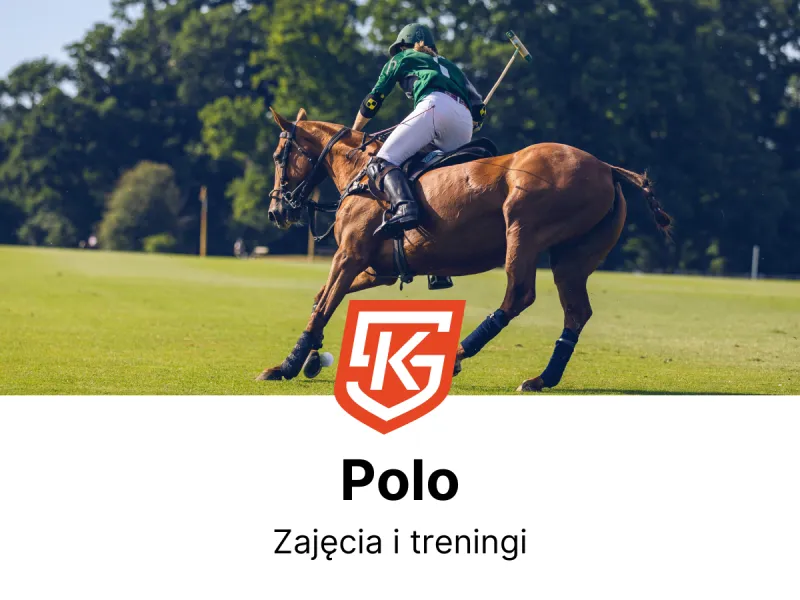 Polo dla dzieci i dorosłych - treningi i zajęcia