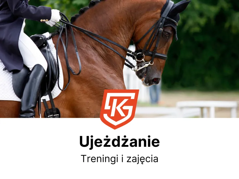 Ujeżdżanie dla dzieci i dorosłych - zajęcia i treningi - KlubySportowe.pl