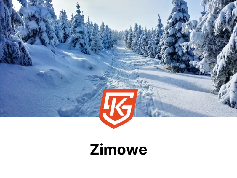 Sporty zimowe dla dzieci i dorosłych - treningi i zajęcia - KlubySportowe.pl